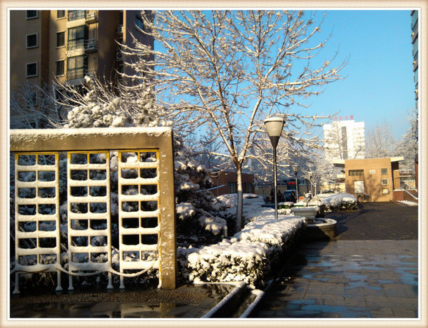 2013年第一场雪-春雪骄阳