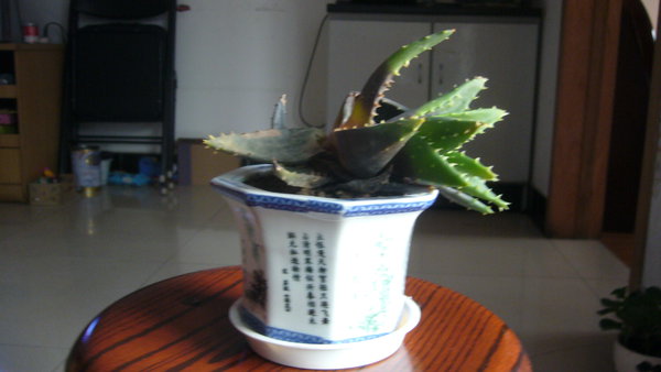花花：你怎么了？