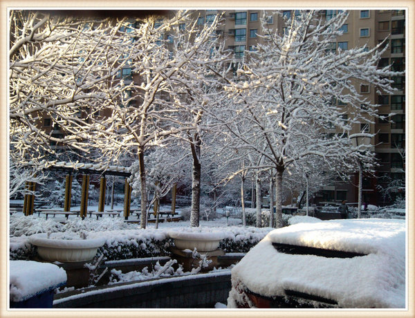 2013年第一场雪-春雪骄阳