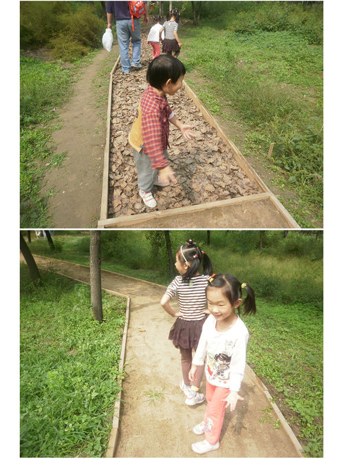北京国际汽车露营公园